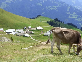 Breitenfeld, Turren-Schönbüel