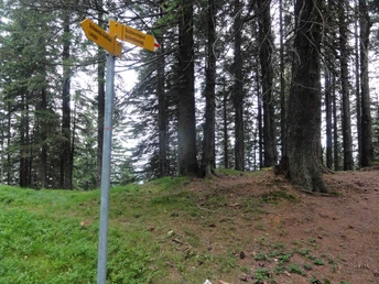 Über den Schlierengrat