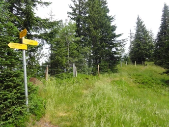 Über den Schlierengrat