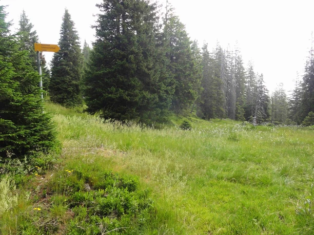 Obwaldner Höhenweg - Etappe 1