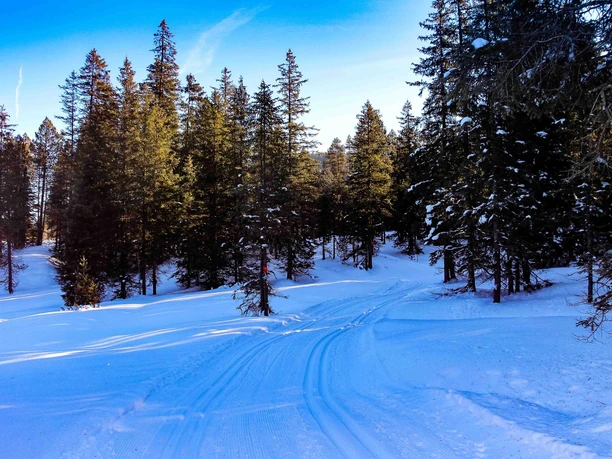 Fröschenseeli-Loipe