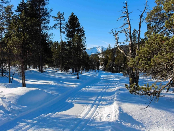 Fröschenseeli-Loipe