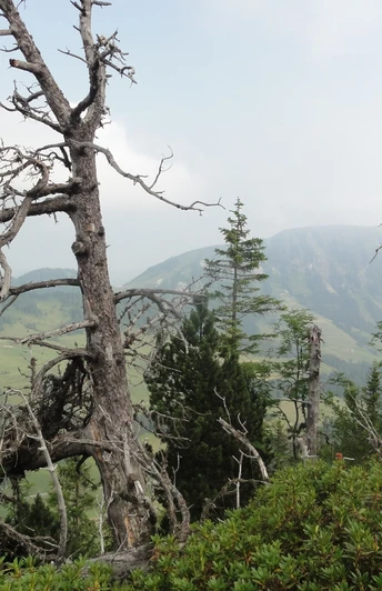 Auf dem Schlierengrat