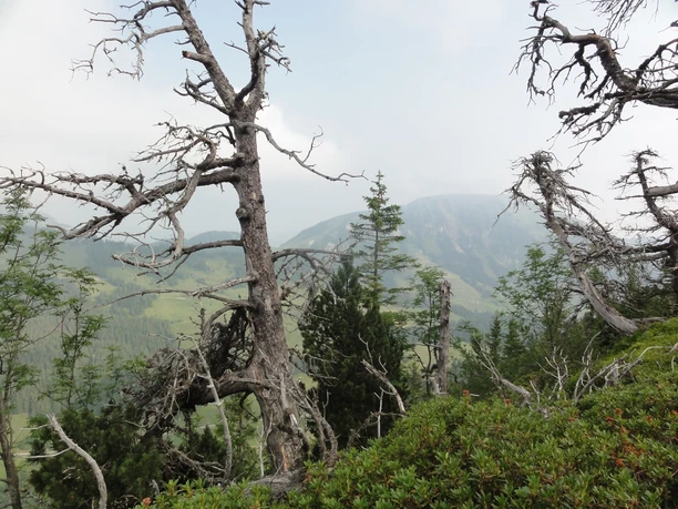 Auf dem Schlierengrat