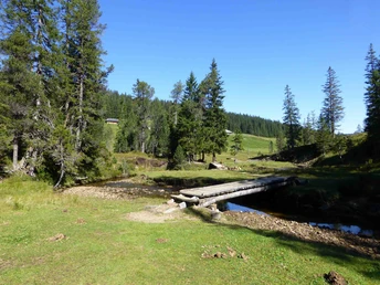 Moorlandschaft Langis