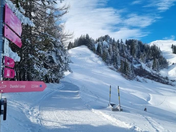 Wegweiser Dundel Loop