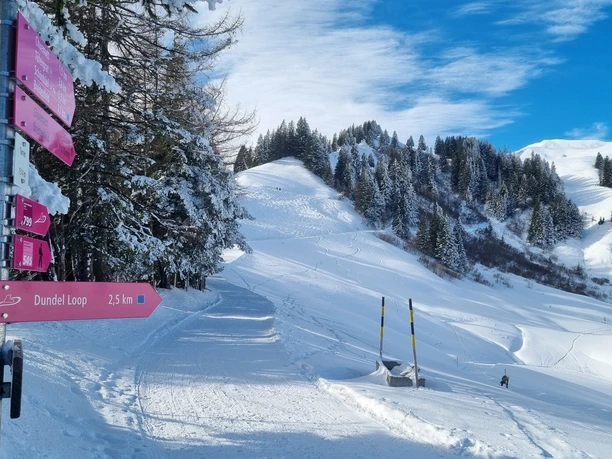 Wegweiser Dundel Loop