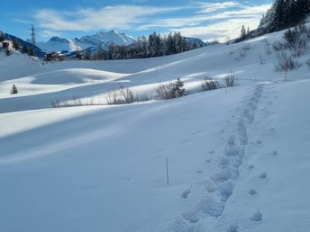 Spuren im Schnee, Dundel Loop