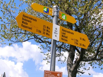 Weid bei Laadübergang