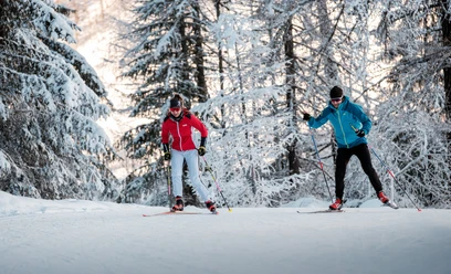 Schnee, Berge, Wald, Loipen, Langläufer/In