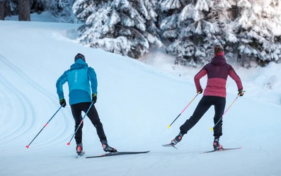 Schnee, Berge, Bäume, Loipen, Langläufer/In, steiler Aufstieg