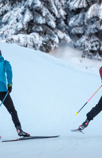 Schnee, Berge, Bäume, Loipen, Langläufer/In, steiler Aufstieg