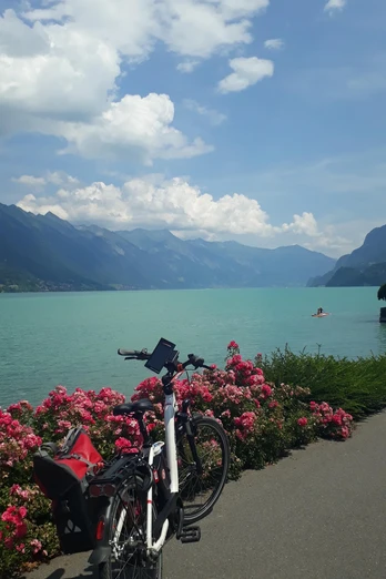 Fahrradweg am Brienzersee