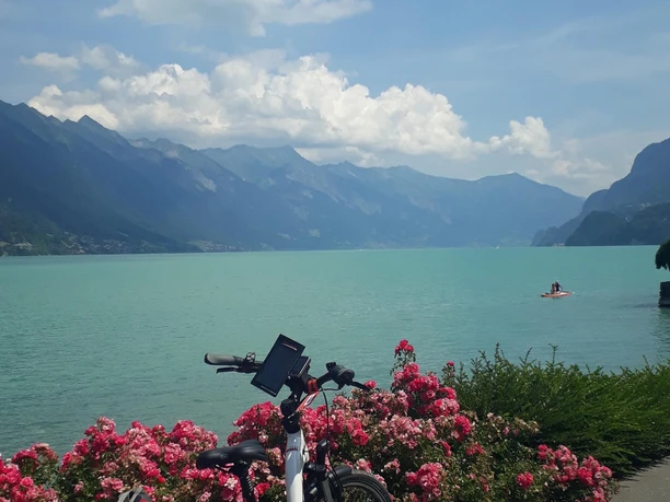 Fahrradweg am Brienzersee