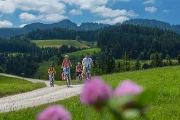 Unterwegs auf der Herzschlaufe Napf #399 auf der Entlebuch - Willsau.