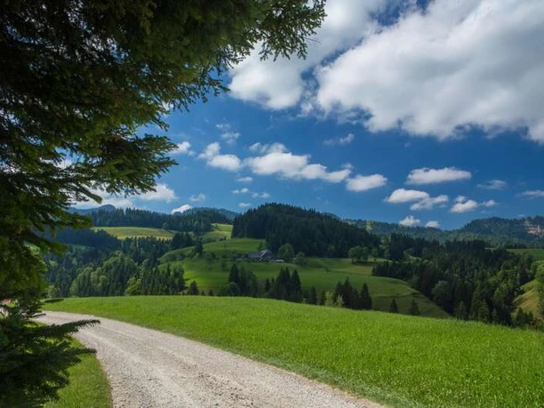 Unterwegs auf der Herzschlaufe Napf #399 auf der Entlebuch - Willsau.