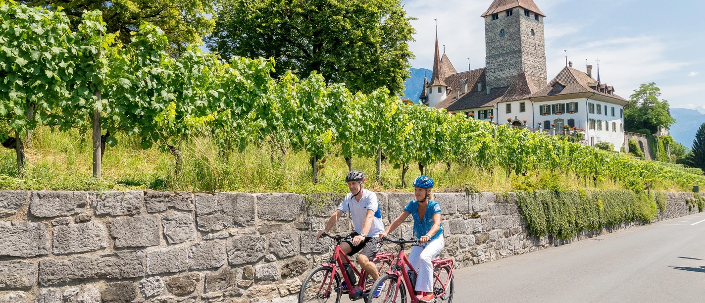 E-Bike Tour, Etappe Spiez