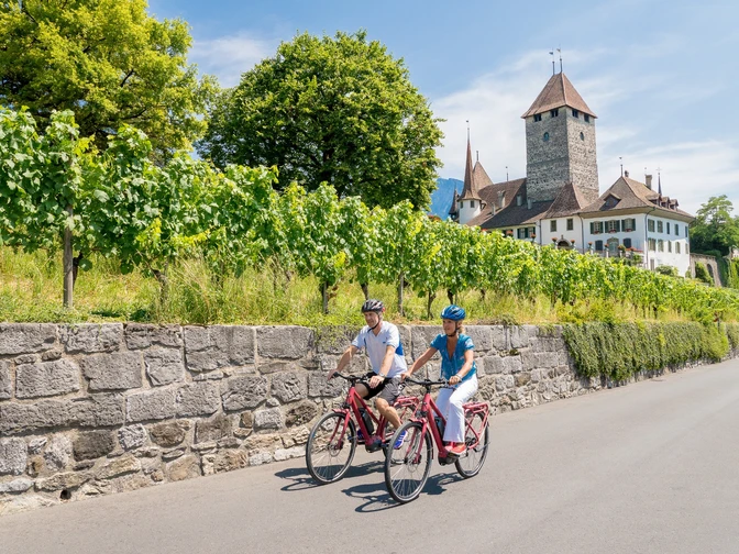 E-Bike Tour, Etappe Spiez