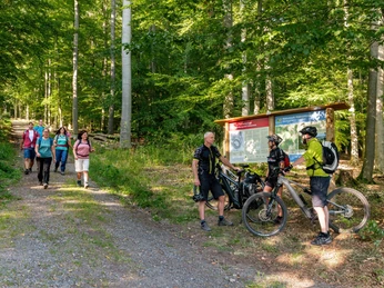 Wanderparkplatz Altenburg bei Niedenstein