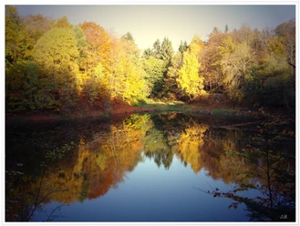 Erlenloch im Herbst