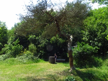 Rastplatz Asel Süd Edersee