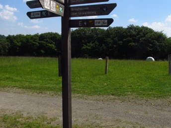 Wegweiser Asel Süd Edersee