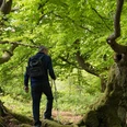 Wandern durch bizarre Laubwälder