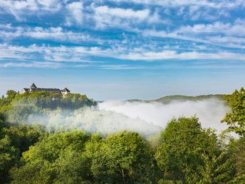 Schloss Waldeck im Frühling mit Hochnebel