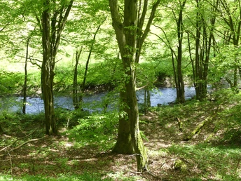 Urfftal bei Bergfreiheit im Frühjahr