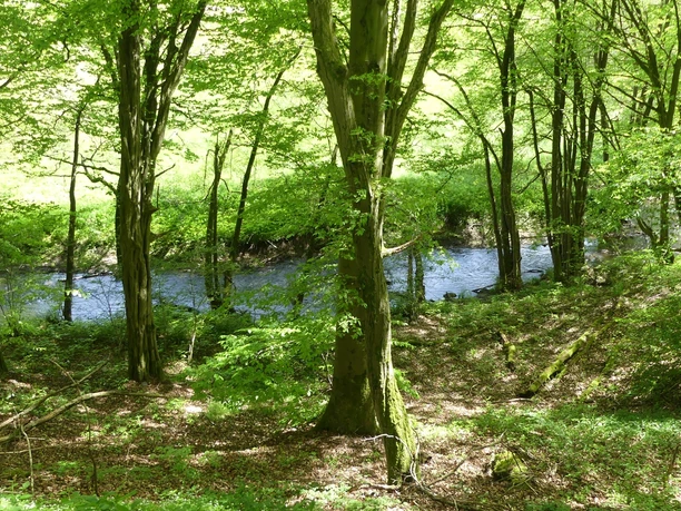Urfftal bei Bergfreiheit im Frühjahr