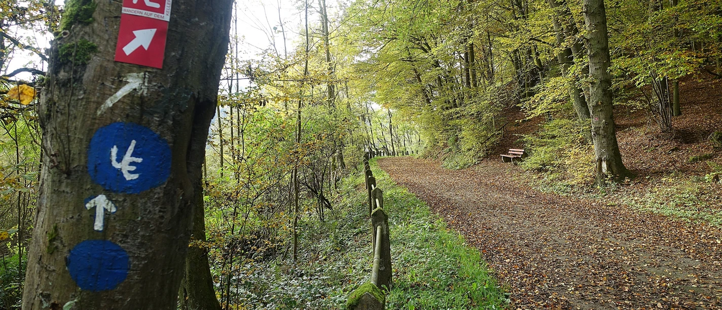 Kellerwald- und Urwaldsteig