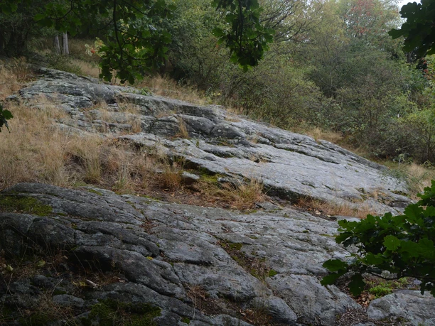 Gletscherschliffe am Kleinen Berg Hohburg