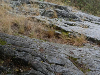 Gletscherschrammen auf Hohburger Quarzporphyr