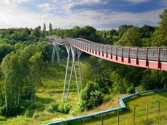 Drachenschwanzbrücke in der Neuen Landschaft Ronneburg