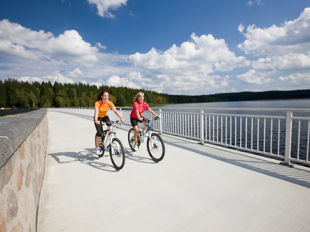 Staumauer Talsperre Muldenberg