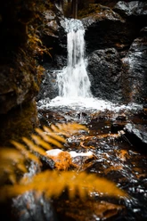 Rissfälle im Herbst
