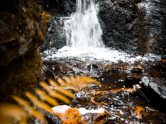 Rissfälle im Herbst