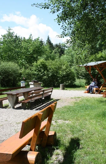 Grillplatz Pfaffengutstraße/Ahornstraße Plauen