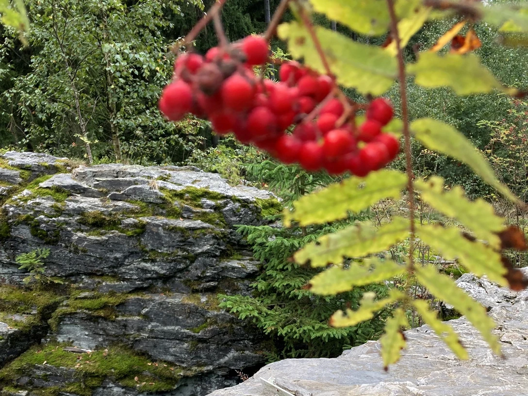 Genesenstein mit Sitzgruppe auf FW 1