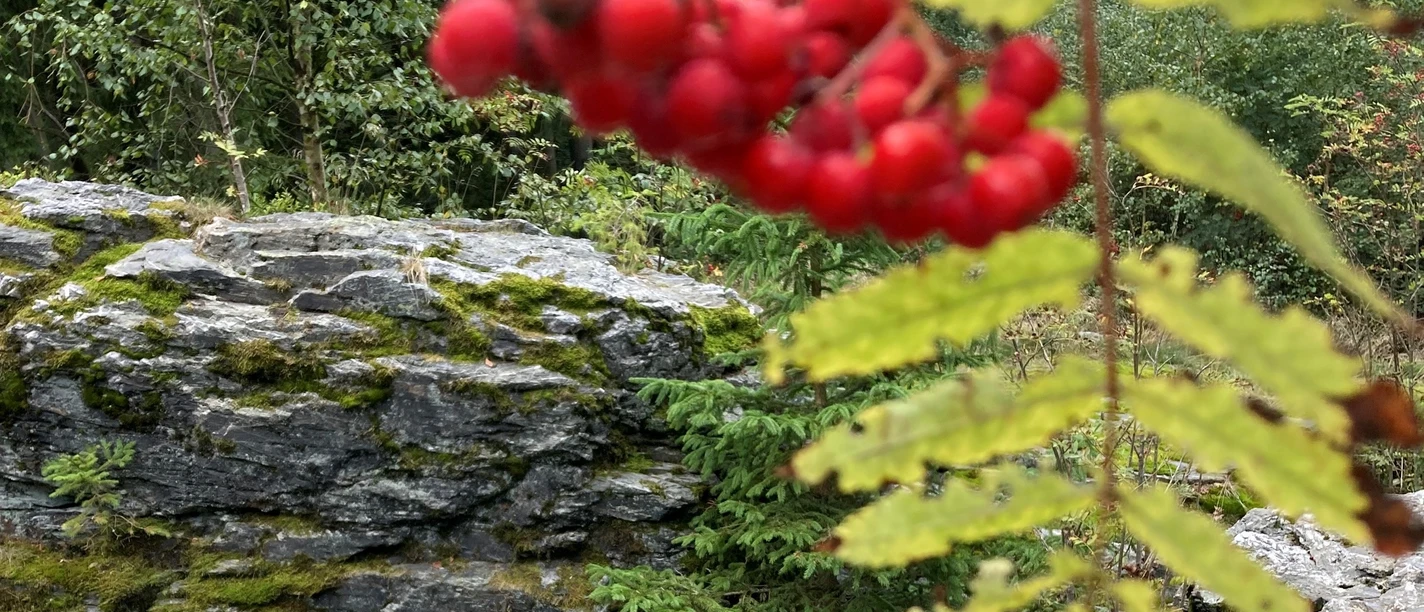 Genesenstein mit Sitzgruppe auf FW 1