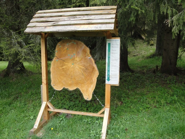 Lehrpfad im NSG Drei Bächle