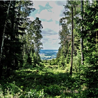 Blick vom Hirschenstein auf das Kirchberger Granitgebiet