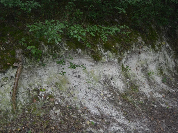 Böschungsanschnitt Kaolin am Kaolinsee Hohburg