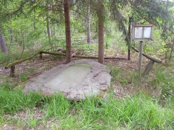 Tertiärquarzit Försterstein