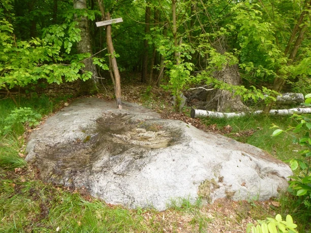 Tertiärquarzit Teufelsstein