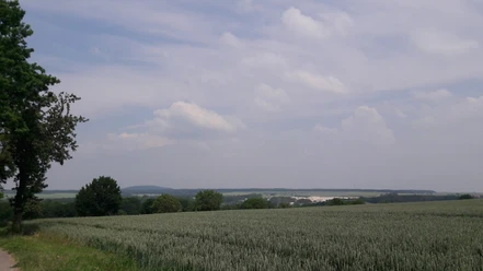 Wachberg bei Pommlitz