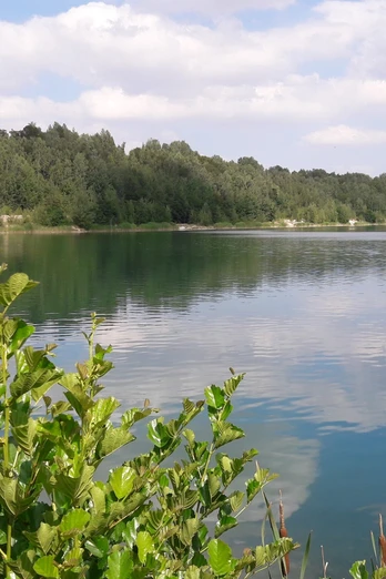 Geflutetes Tagebaurestloch Frieden