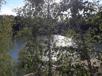 Blick auf den Tagebausee bei Querbitzsch