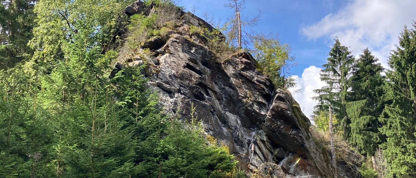 Rinnelstein gleich hinterm Sagenstein auf dem Felsenweg 1 Grünbach
