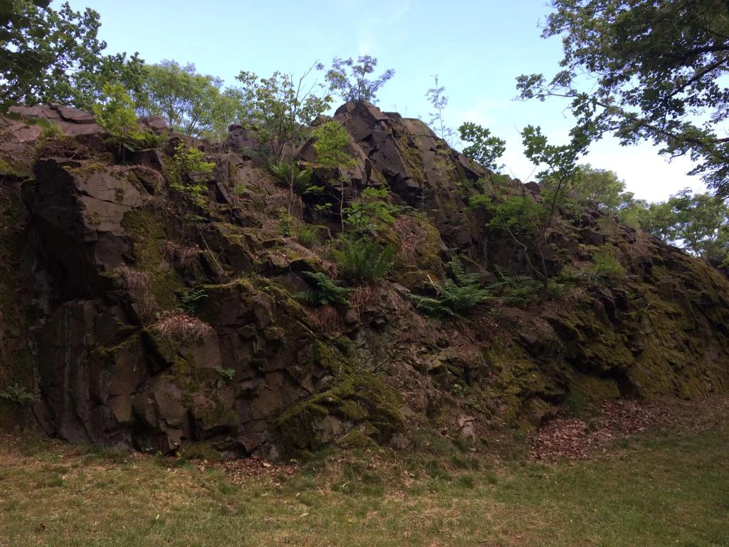 Schulfelsen Falkenstein